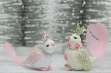 Load image into Gallery viewer, KING & QUEEN PINKY BIRDS