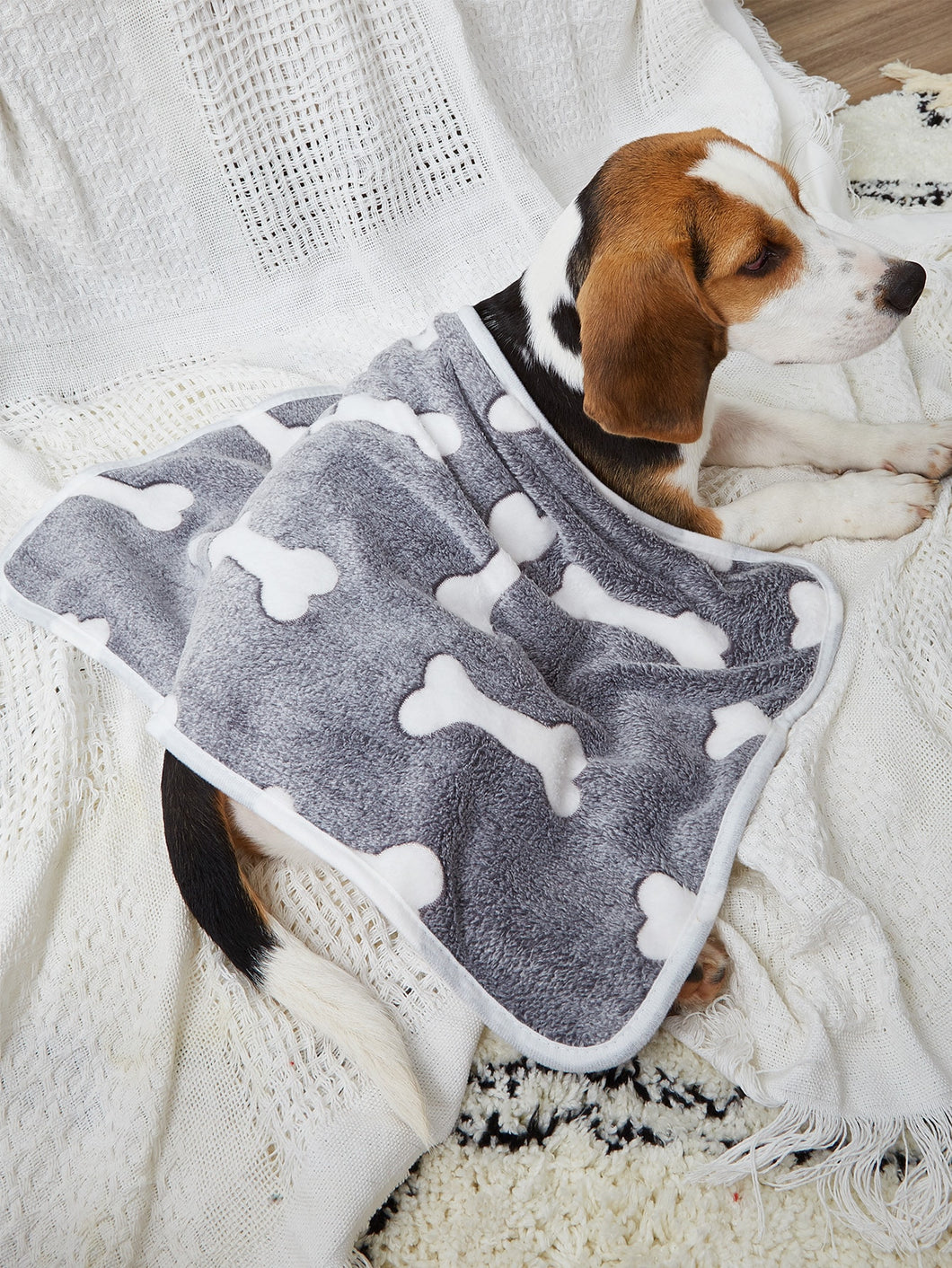 'Bone Pattern Plush Dog Blanket' an adorable soft cover to make warm stand and comfortable your pet friend! Colour: Grey Pattern Type: Cartoon Composition: 60% Cotton, 40% Polyester Material: Cotton Applicable Pet: Dog