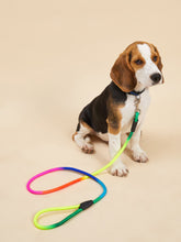Load image into Gallery viewer, &#39;Colourful Dog Leash&#39; Keep your animal friend on a rainbow style leash. Stay safe, be fashionable! Colour: Multicolour Pattern Type: Plain Material: Nylon Applicable Pet: Cat/Dog
