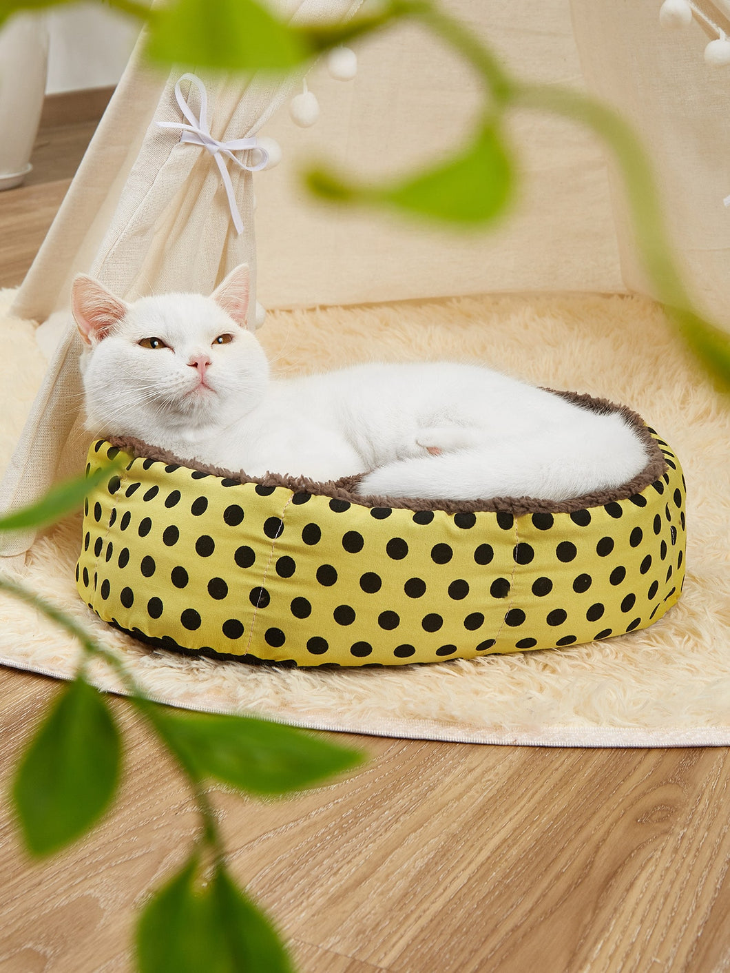 'Polka Dot Plush Octagon Pet Bed' Make your friend pet feel comfortable on this cute and soft pet bed! Colour: Yellow  Collections: Luxury Pattern Type: Polka Dot Composition: 50% Cotton, 50% Polyester Material: Cotton Applicable Pet: Cat/Dog