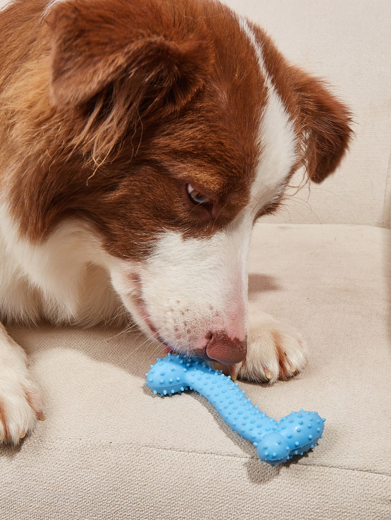 'Bone Design Pet Chew Toy' Light blue gummy bone for pets, a stress reliever toy to entertain your pet friend. Colour: Blue Pattern Type: Plain Material: TPR Applicable Pet: Cat/Dog