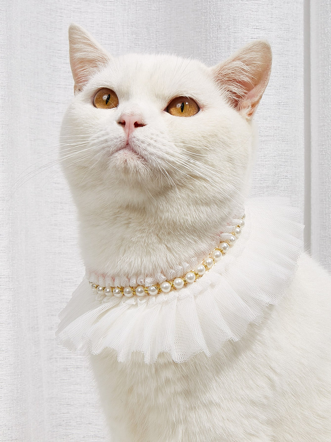 'Faux Pearl Decor Lace Pet Bandana' A royal aristo-cat collar! Your lovely cat will be so elegant with this stylish pet collar. Colour: White Pattern Type: Plain Type: Bandana Applicable Pet: Cat/Dog Composition: 100% Polyester Material: Polyester Size (neck): 25-30cm