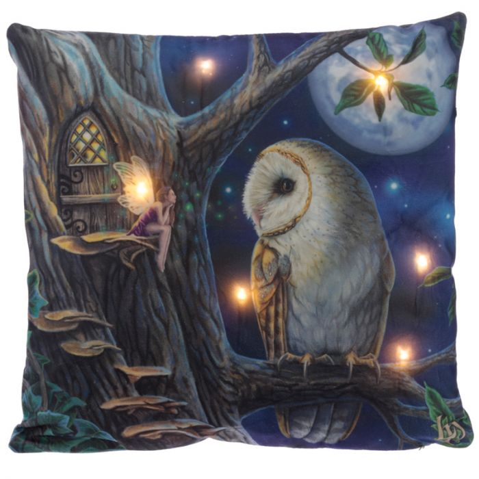 'Beautiful Fairy Tales Owl and Fairy LED Cushion' - This adorable cushion makes you company when you are in the dark, at night; when you simply click the tap inside the cushion cover, it will light up, creating a fairy tale atmosphere but you can say that it is unique because it will add a magic touch to any room and place! Show it to your family and friends, they will love it!'